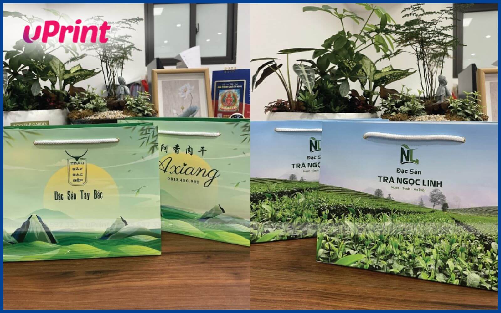 Mẫu in túi giấy thực phẩm