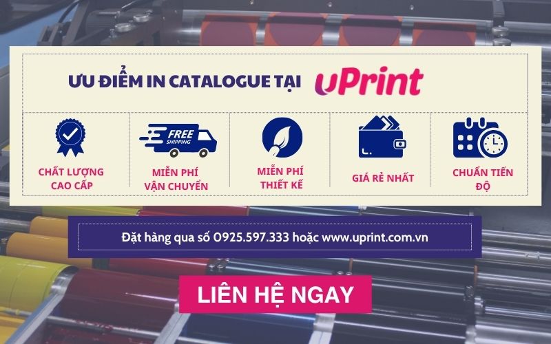 Dịch vụ In catalogue số lượng ít giá rẻ Hà Nội