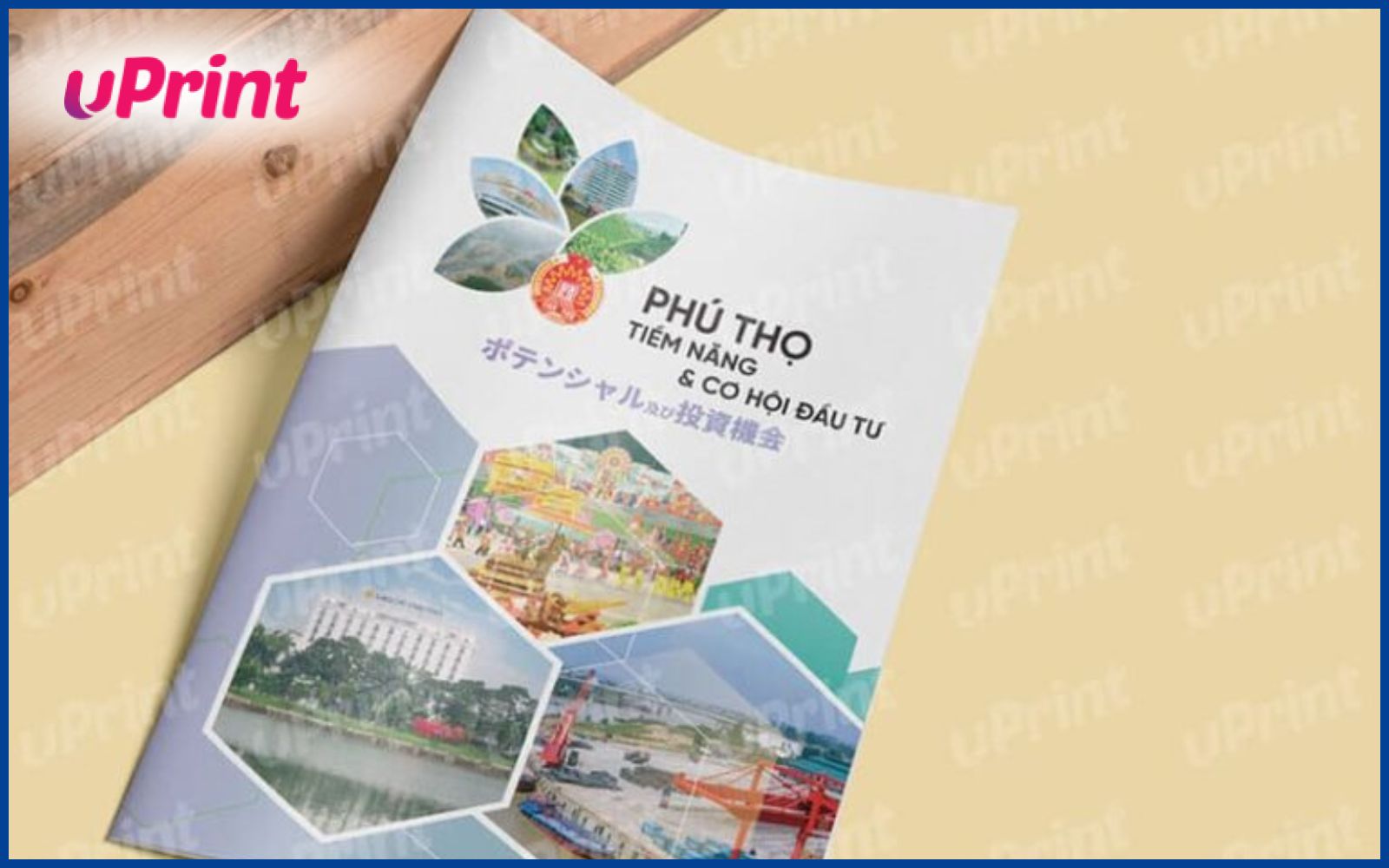 Sản xuất catalogue tại Hà Nội giới thiệu dự án Sản xuất catalogue tại Hà Nội giới thiệu dự án