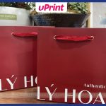 in túi giấy đựng mỹ phẩm đẹp