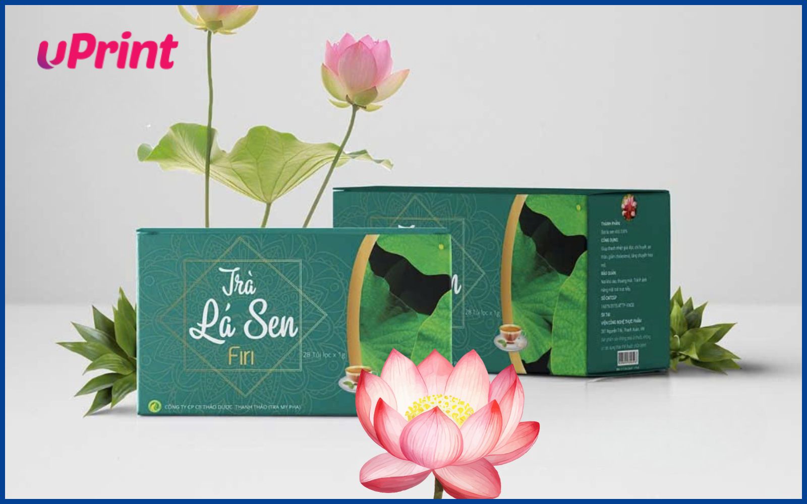 in hộp giấy cao cấp đựng trà sang trọng