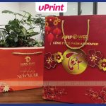 Ảnh in túi giấy đựng quà tặng