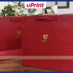 Mẫu in túi giấy đựng quà loại to