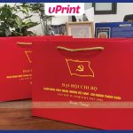 Mẫu in túi đựng quà đẹp đoàn đội