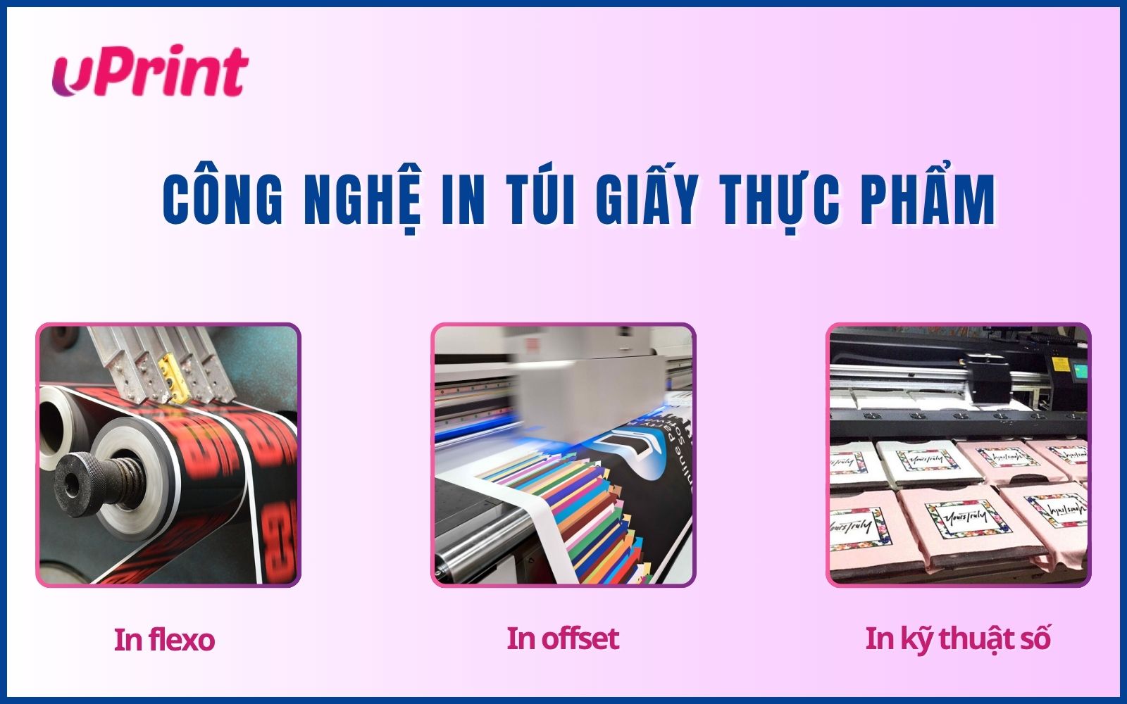 Công nghệ in và gia công túi giấy đựng thực phẩm
