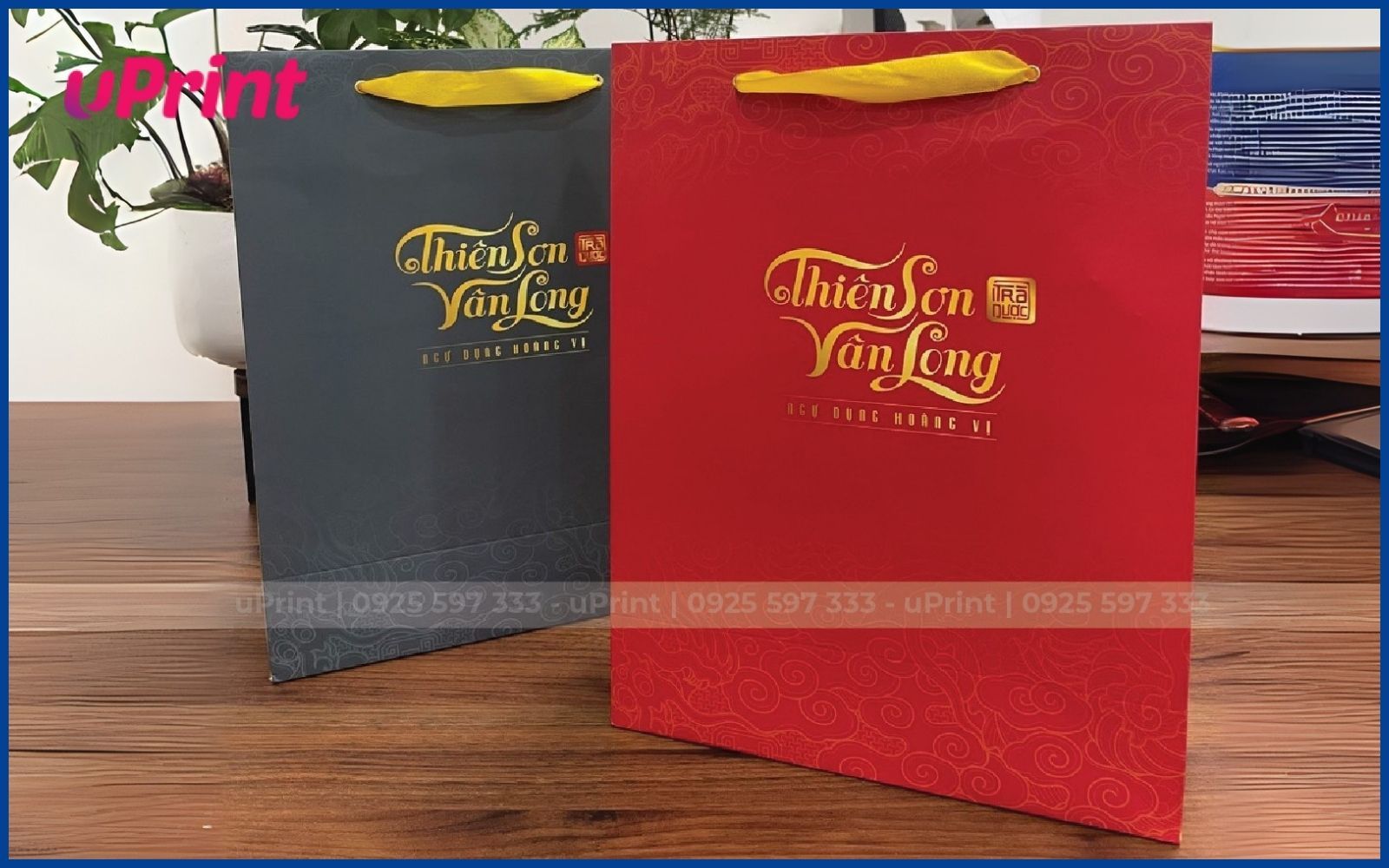 Hình ảnh túi giấy đựng trà Thiên Sơn Vân Long