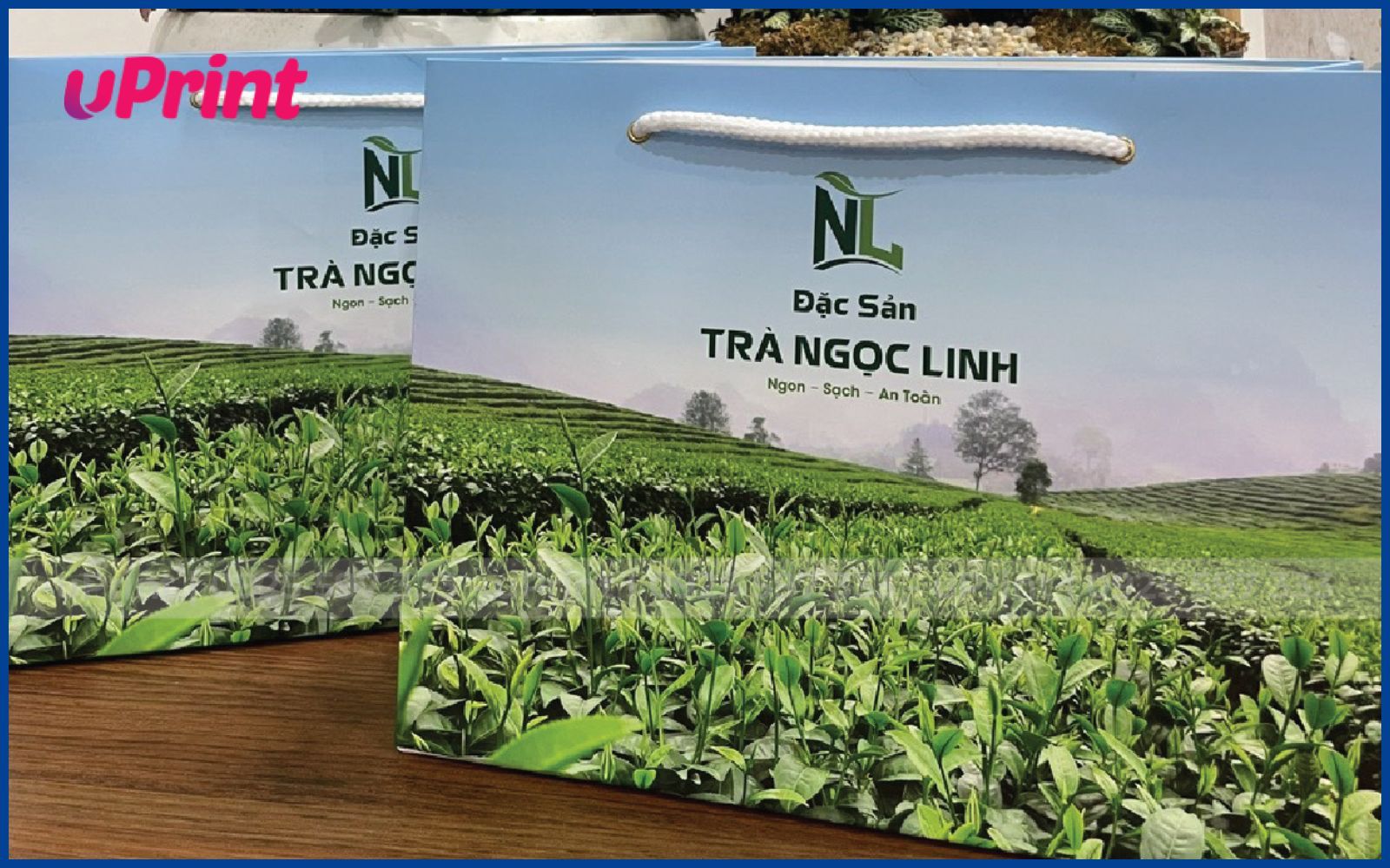 Hình ảnh túi giấy đựng trà Ngọc Linh