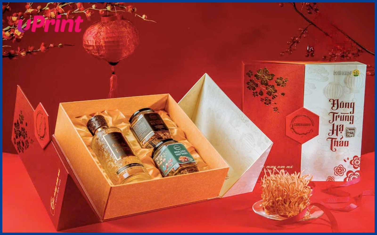 Bao bì đông trùng hạ thảo dạng sóng