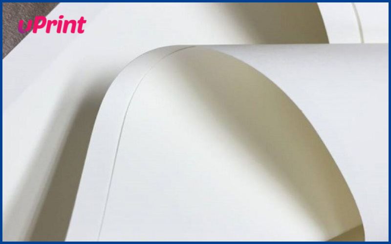 Khái niệm giấy Ivory là gì? Đặc điểm của giấy Ivory