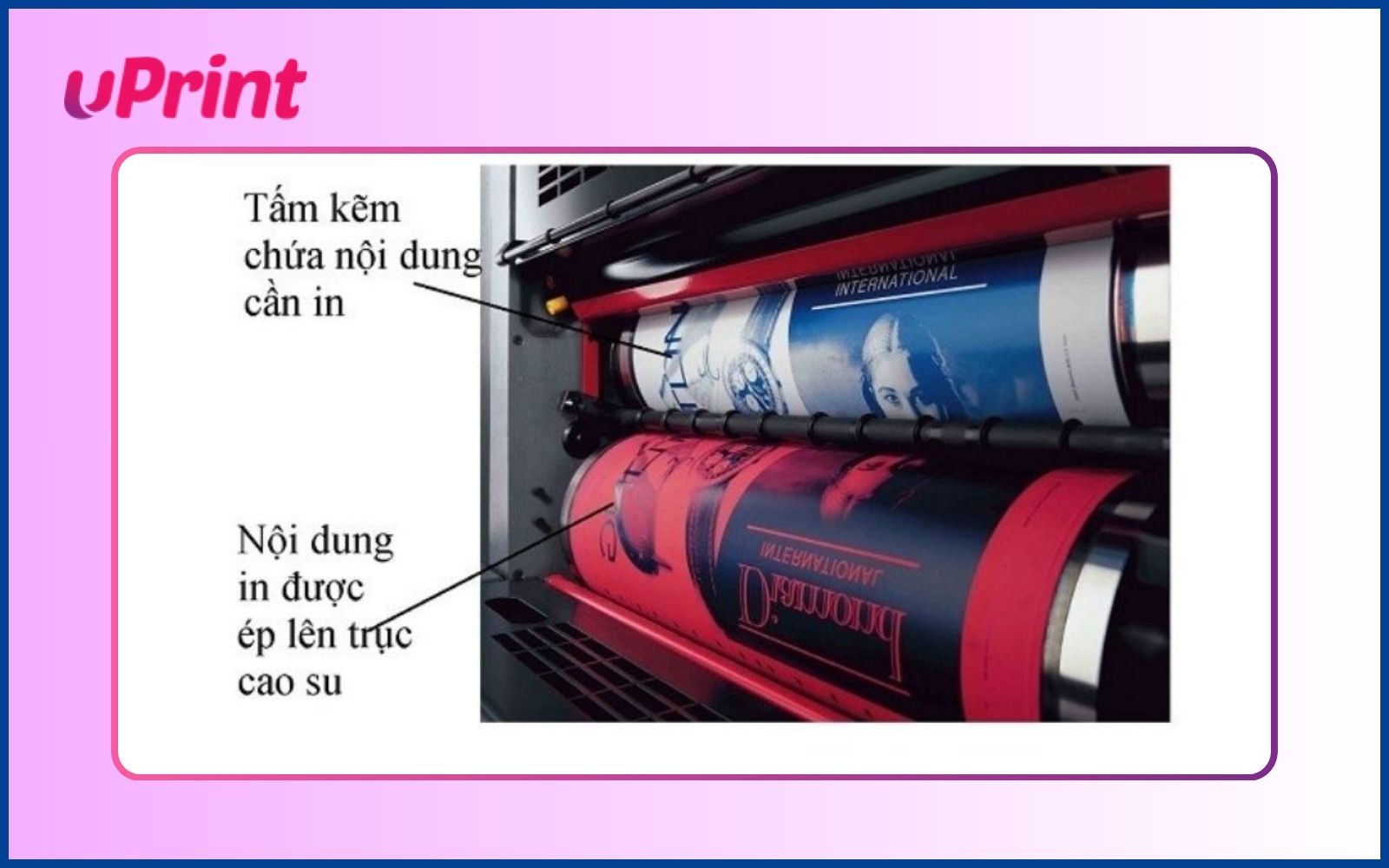 Nguyên lý của phương pháp in offset như thế nào?