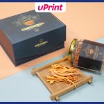 Mẫu in hộp giấy đựng đông trùng hạ thảo