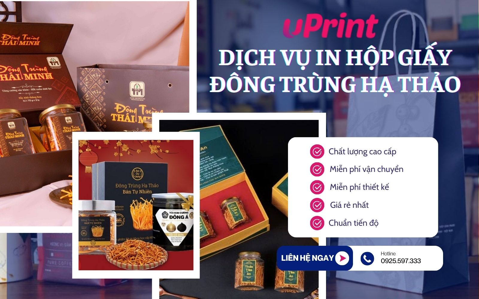 In hộp giấy đựng đông trùng hạ thảo